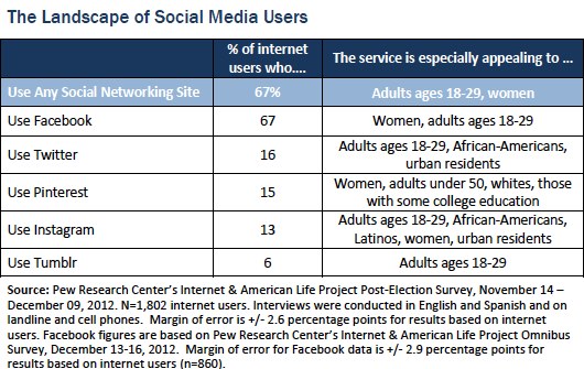 landscape of social media users